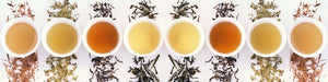 3 Boxes of Jasmine and Green Tea Patagonia (60 Tea Bags) - Dw 4