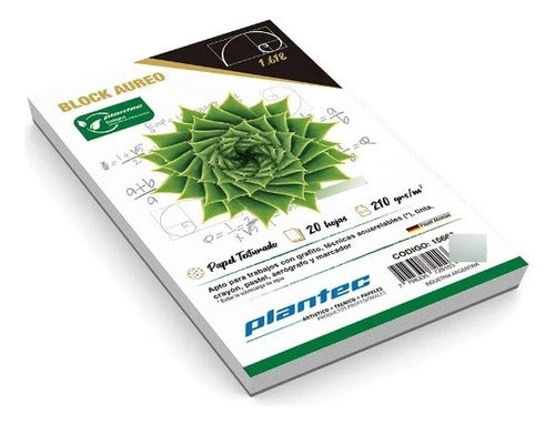 Plantec Block Aureo 10x16cm 20 Hojas Texturado 210 Gr 0