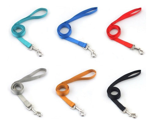 Nylon Collar and Leash Set for Dogs and Cats Various Sizes 76