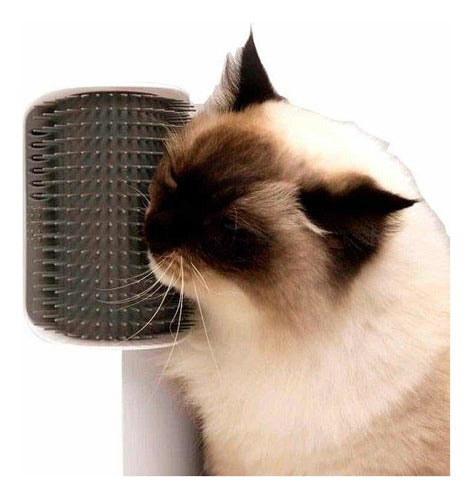 Rascador Masajeador De Pared P/ Gatos Self Groomer Catit 2.0 1