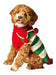 Chilly Dog Christmas Elf Dog Sweater Xxsmall 0