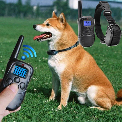 Rechargeable 100LV Training Collar for Dogs 1