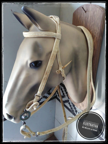 PG Double Headstall and Reins with Ring (Folded) in Leather 1