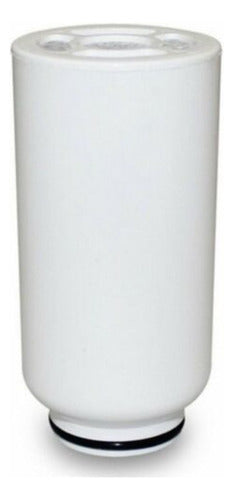 Philips Original WP3961 Water Filter Replacement 1