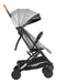 Infanti Terrain 2G Stroller 2