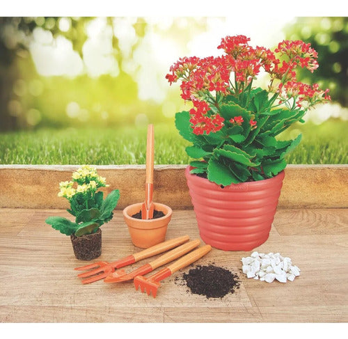 Kit 4 Piezas Herramientas Set Jardin Tramontina Para Maceta 4