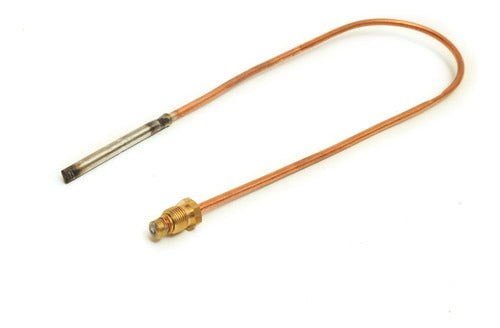 Rheem Thermocouple for Water Heater, Saiar - 400mm Point Head 0