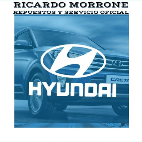 Hyundai Veracruz Radiator Cap 2