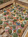 Set of 83 Ornamental Cactus Plants in 6cm Diameter Pot 0