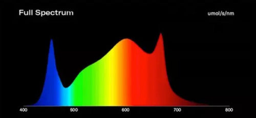 LED COB YXO 50W Samsung Quantum Board White 3500K + Hyper R 1