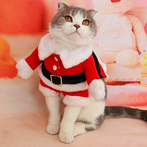 Bolbove Santa Claus Costume for Small Dogs and Cats - Christmas Outfit 1