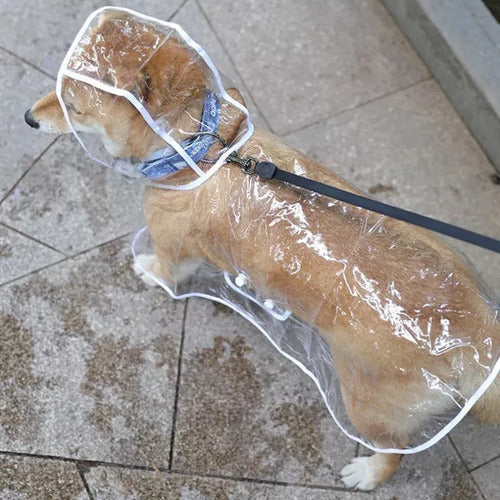 Capa De Chuva Transparente Com Capuz, Tamanho L, Para Cães D 2