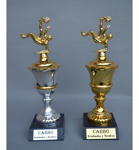 Grabadoscarbo Trophy, Multidisciplinary Cup 44cm, Golden, Silver or Mix 5