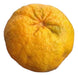 Mandarina Campeona (Bergamota) 0