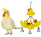 Bonka Bird Toys 922 Ducky Ringer Bird Toy 3