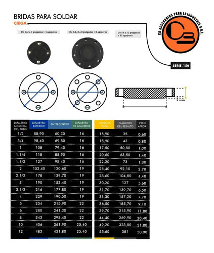 Blind Flange ANSI A105 Series 300 3 Inches 1