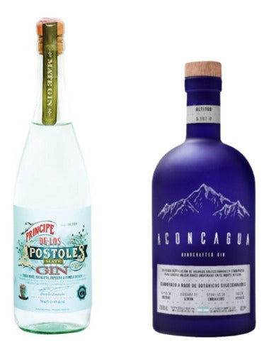 Príncipe de los Apóstoles Gin + Aconcagua London Dry 750ml Gobar® 0