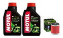 Kit Service Yamaha Ybr Xtz 250 Aceite Motul +filtro Hiflo Rp 0