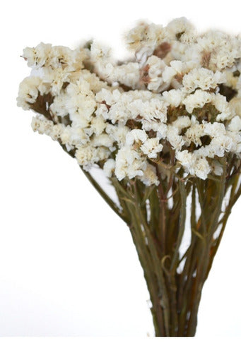 Dried White Statice Flower Bouquet 0