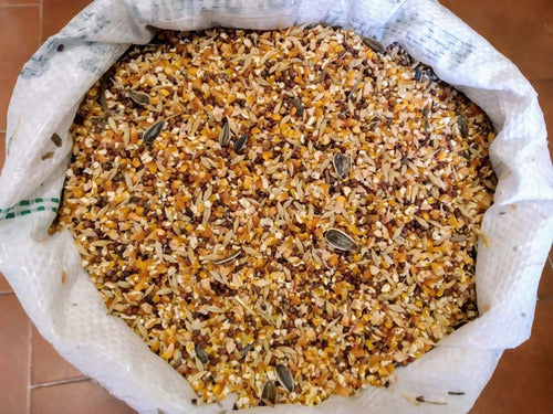 Mezcla De Semillas P/ Gallinas Y Aves X 5 Kg. Mercado Envio 2