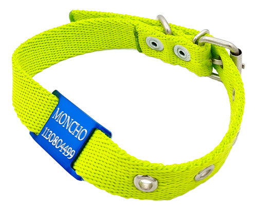 MEDALLAS PARA PERROS Chapitas Perros Pasador Azul + Collar De 2cm Verde Manzana 0