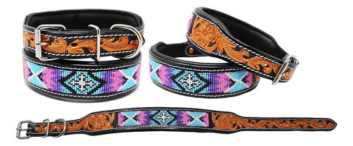 Challenger Medium 17''- 21'' Dog Collar Leather Padded 0