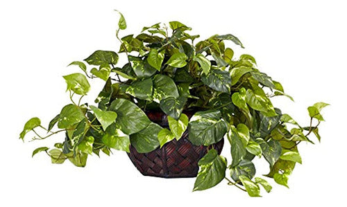 Casi Natural 6681 Pothos Con Jarrón Decorativo Seda Verde Pl 0