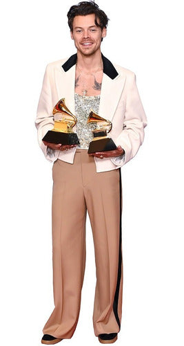 Silueta Corporea Harry Styles Grammy 2023 Envio Gratis 0