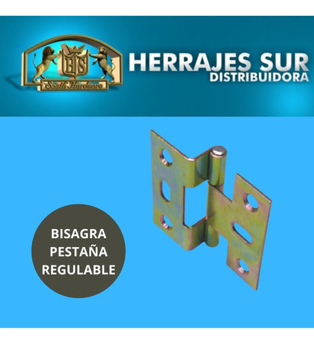 HS 10 U. Bisagra Pestaña Tipo Nº5 Regular Zinc Puerta 38x40 3