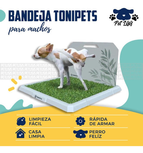 TONIPETS Premium Male Dog Potty Training Tray with 40% Off! 1