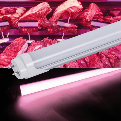 Tubo Led Fresh Meat Especial Carniceria 9w 60cm 2