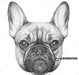 Adjustable Rubber Muzzle for French Bulldog, Pug, Boston Terrier 8