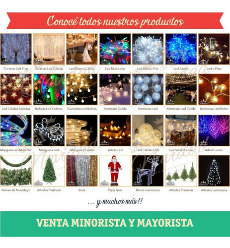 El Rey de la Navidad LED Multicolor Light Net for Christmas Decoration 6