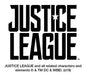 Graphics & More Justice League Aquaman Dog Bandana 4