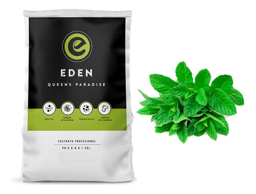 Professional Eden Substrate 25Lt with Mint Seeds 0