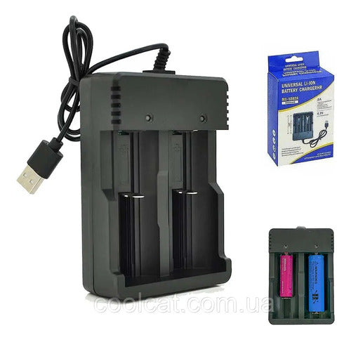 Generic Universal Charger for 2 Batteries 4.2V 2A 18650 14500 16340 0