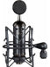 Microfono Blue Blackout Spark Sl Xlr Condenser With Polsen H 2