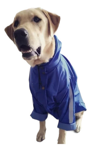 Piloto Impermeable Perro Grande (hecho A Medida) 0