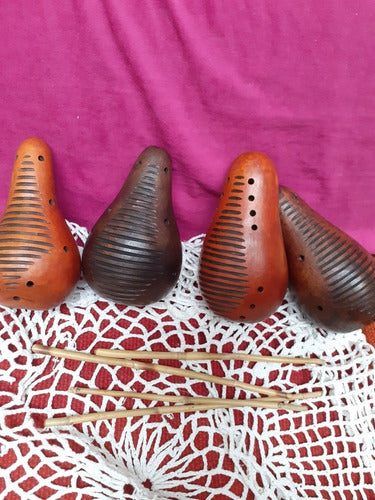 Instrumentos Pinpanpun Guiro De Calabaza 3