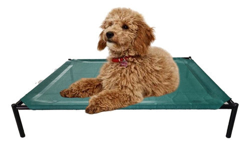 Hilgert Promo 2 Pet Beds for Small Dogs 45 x 60 cm 3