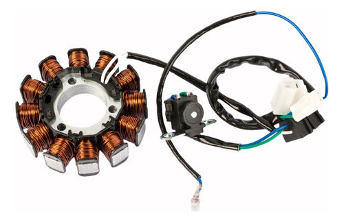Complete Stator for Yamaha FZ 16 by W Standard 0