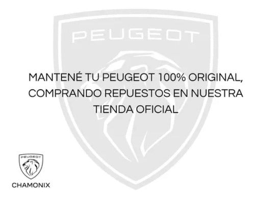 Placa Fijación Rueda De Auxilio Peugeot 3008 Original 2