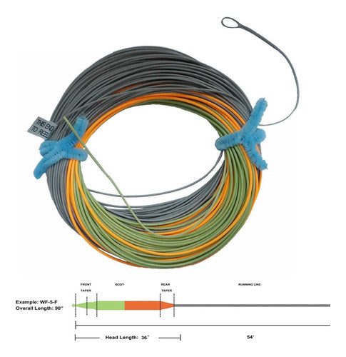 Aventik Fly Fishing Line Peso Hacia Adelante Flotante Fly 3