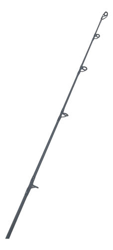 Marin Caña Marine Evolution G3 2.10m 20-40lbs 1tr Trolling Carnada 3