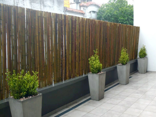 Bamboo Cane Fence Panel 100x120 cm 1