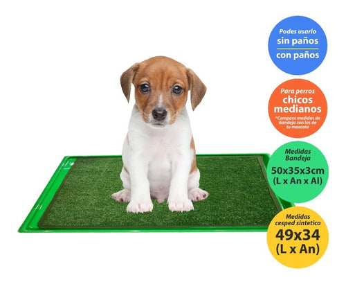 Pañopet Plastic Dog Sanitary Tray Hygiene Pad Pet S 1