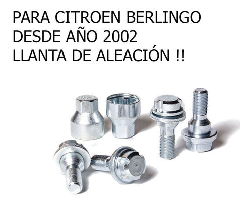 Citroen C3 Anti-Theft Nut Set from 2003 Alloy Wheel 1