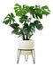 VKV Store Tripod Plant Stand 22cm Height for Pot N18 0