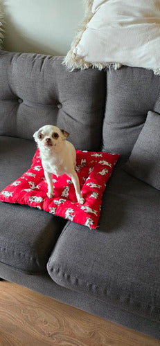 Gully Small Anti-Tear Dog Bed Pillow 4