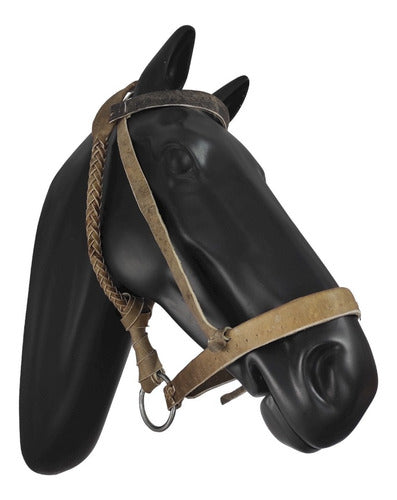Heavy Palenquero Raw Leather Muzzle for Horse by Jaleña Talabartería 0